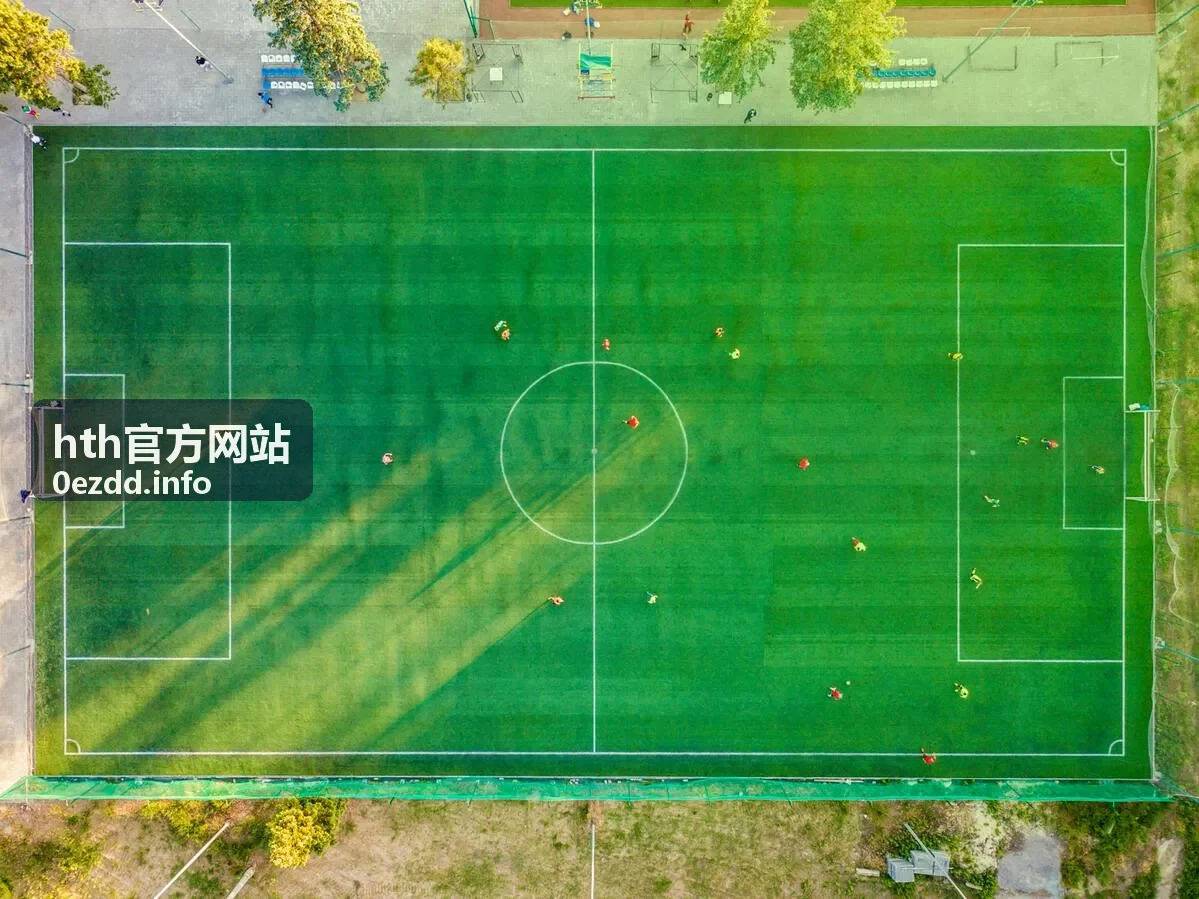 hth官方网站专业服务团队协作场景